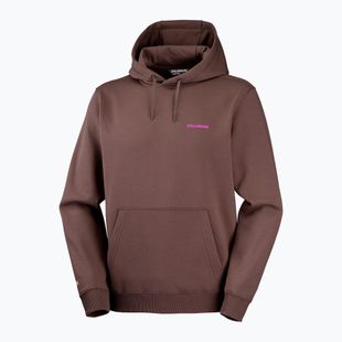 Vyriškas bėgimo džemperis Salomon Shortney Hoodie shopping bag
