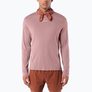 Vyriški bėgimo marškinėliai su ilgomis rankovėmis  Salomon Sense Merino Tee LS antler