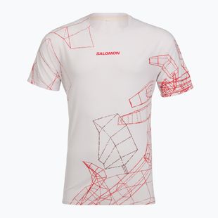 Vyriški bėgimo marškinėliai Salomon S\Lab Speed Tee SS lilac ash