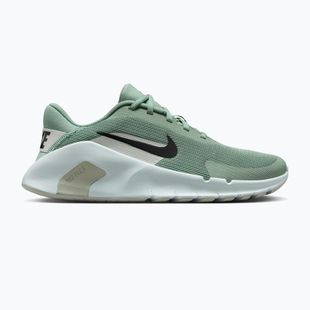 Moteriški treniruočių batai Nike Flex Train steam/light silver/barely green/black