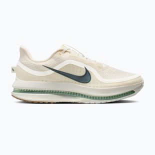 Vyriški bėgimo batai Nike Pegasus Premium Pale ivory/jade horizon/black spruce