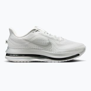 Vyriški bėgimo batai Nike Pegasus Premium photon dust/metallic Silver/black