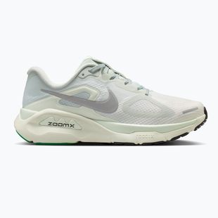 Moteriški bėgimo batai Nike Structure Plus light silver/metallic silver
