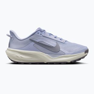 Moteriški bėgimo batai Nike ACG Pegasus Trail ghost/mineral slate/cement grey