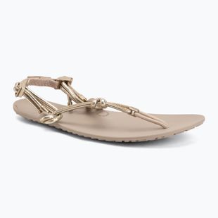 Moteriškos barefoot basutės Xero Shoes Genesis gold metallic