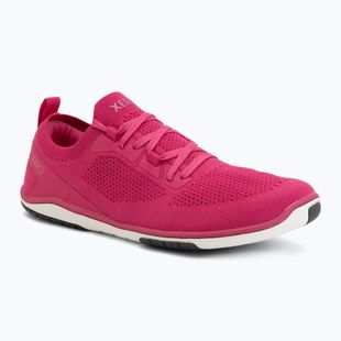 Moteriški barefoot batai Xero Shoes Nexus Knit fuchsia purple