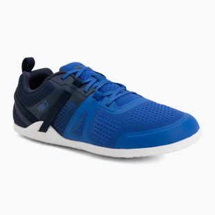 Vyriški barefoot batai Xero Shoes Prio Neo blue lolite