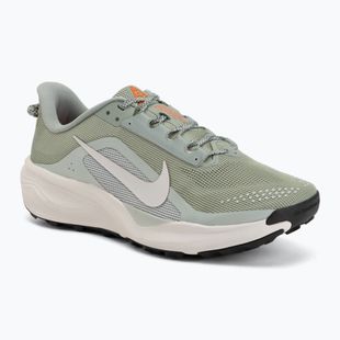Vyriški bėgimo batai Nike ACG Pegasus Trail jade horizon/light silver/phantom