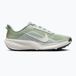 Vyriški bėgimo batai Nike ACG Pegasus Trail jade horizon/light silver/phantom