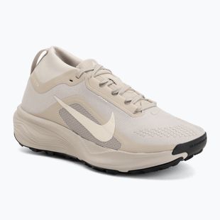 Moteriški bėgimo batai Nike ACG Pegasus Trail GORE-TEX Cream Ii/Light Orewood Brown