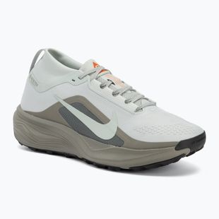 Vyriški bėgimo batai Nike ACG Pegasus Trail GORE-TEX Light Silver/Light Army/Light Silver