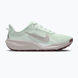 Moteriški bėgimo batai Nike ACG Pegasus Trail barely green/light bone/silver lilac