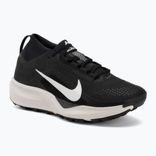 Vyriški bėgimo batai Nike ACG Pegasus Trail GORE-TEX Black/Light Orewood Brown/Summit White
