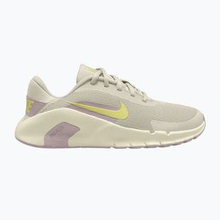 Moteriški treniruočių batai Nike Flex Train phantom/platinum violet/sail/fennel