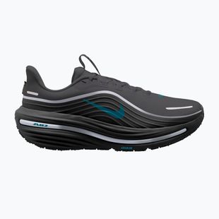 Vyriški bėgimo batai Nike Winflo 12 GORE-TEX anthracite/black/bright spruce