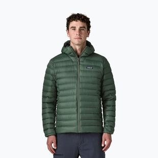 Vyriška pūsta striukė Patagonia Down Sweater Hoody treeline green