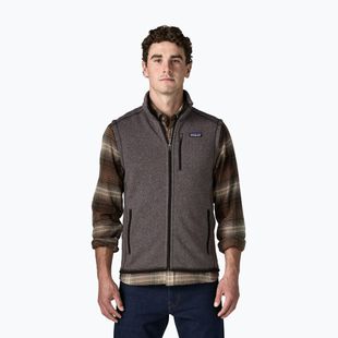 Vyriška liemenė Patagonia Better Sweater may grey