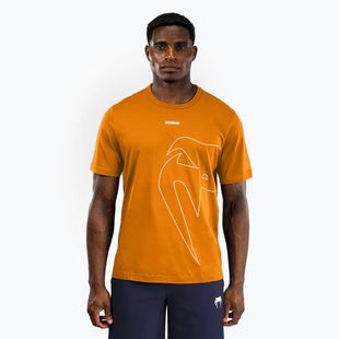 Vyriški marškinėliai Venum Giant Connect T-Shirt tangerine