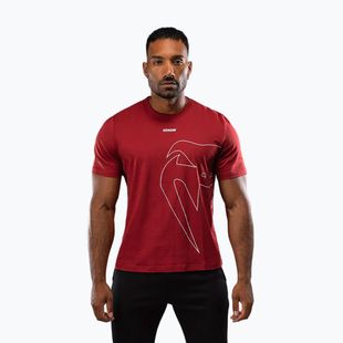 Vyriški marškinėliai Venum Giant Connect T-Shirt carmin