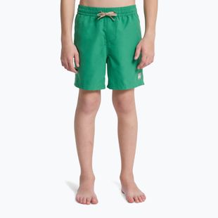 Vaikiški maudymosi šortai Quiksilver Everyday Volley 14" leprechaun