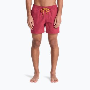 Vyriški maudymosi šortai Quiksilver Everyday Solid Volley 15" burnt russet