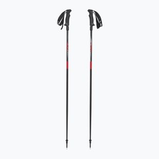 Slidinėjimo lazdos LEKI Hot Shot anodized black/eloxal gray/eloxal red