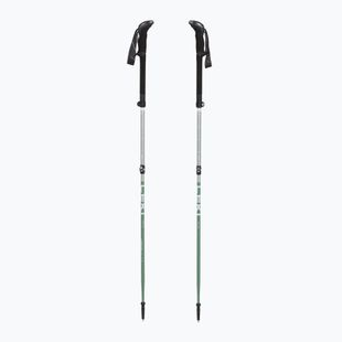Žygio lazdos LEKI Makalu FX TA silver/greygreen/white