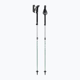 Žygio lazdos LEKI Makalu FX TA silver/greygreen/white