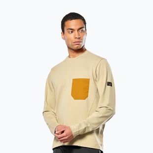 Vyriškas džemperis Salewa Fanes Dry Pullover quicksand