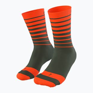 Kojinės DYNAFIT Live To Ride thyme