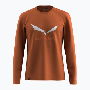 Vyriški marškinėliai ilgomis rankovėmis Salewa Solidlogo Dry bombay brown