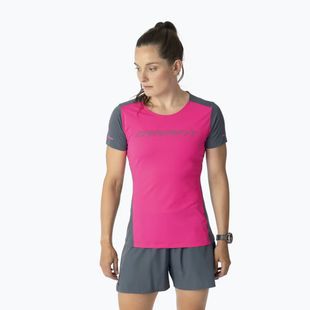 Moteriški bėgimo marškinėliai DYNAFIT Alpine 2 Tee pink glo