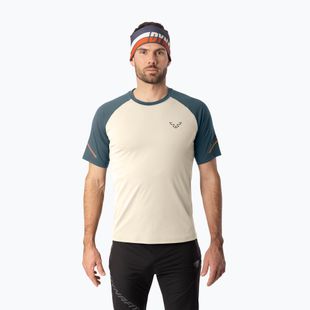 Vyriški bėgimo marškinėliai DYNAFIT Alpine Pro overcast/0720