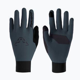 Ski touring pirštinės DYNAFIT Blacklight Polartec Alpha cinder