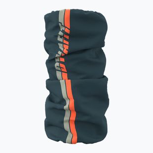 Daugiafunkcinė skara Dynafit Graphic Neck Gaiter cinder/4880 stripes