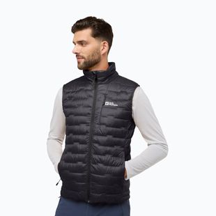 Vyriška žygio liemenė Jack Wolfskin Passamani Down phantom