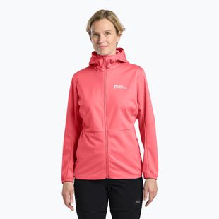 Moteriška softhsell striukė Jack Wolfskin Feldberg Hoody sunset coral