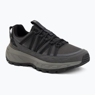 Vyriški turistiniai batai Jack Wolfskin Wild Hike Texapore Low black/phantom