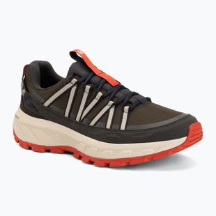 Vyriški turistiniai batai Jack Wolfskin Wild Hike Texapore Low obsidian moss