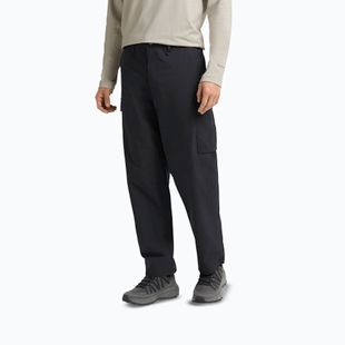 Vyriškos žygių kelnės Jack Wolfskin Yuma Cargo black