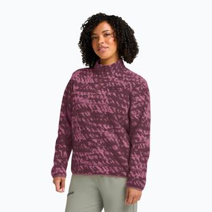Moteriškas žygio džemperis Jack Wolfskin Big Sky Half Zip raisin
