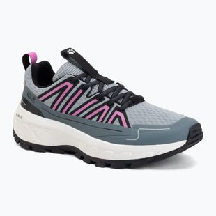 Moteriški turistiniai batai Jack Wolfskin Wild Hike Low ash