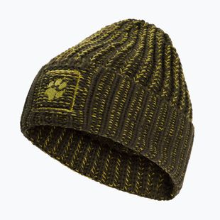 Žieminė kepurė Jack Wolfskin Badge Beanie obsidian moss