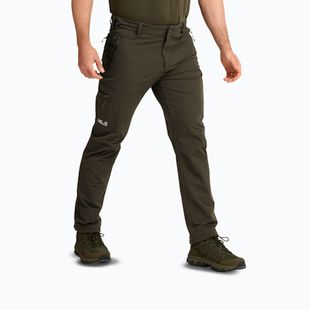 Vyriškos žygių kelnės Jack Wolfskin Activate Flex obsidian moss