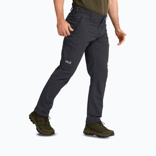 Vyriškos žygių kelnės Jack Wolfskin Activate Flex phantom