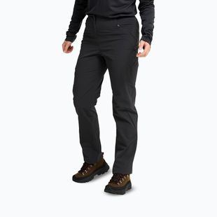 Moteriškos žygių kelnės Jack Wolfskin Activate Flex black