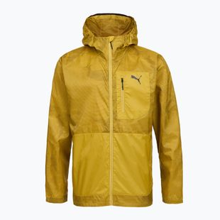 Vyriška bėgimo striukė Puma Seasons Windcell Running Jacket gold
