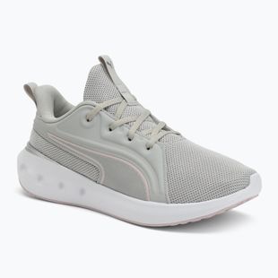 Bėgimo batai PUMA Softride Carson cool light gray/rose mauve/puma silver