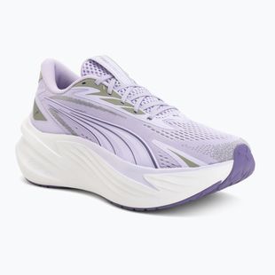 Bėgimo batai Puma Maxima Pro light lavender/plum purple