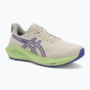 Vyriški bėgimo bateliai ASICS GT-2000 13 TR nature bathing/lime green